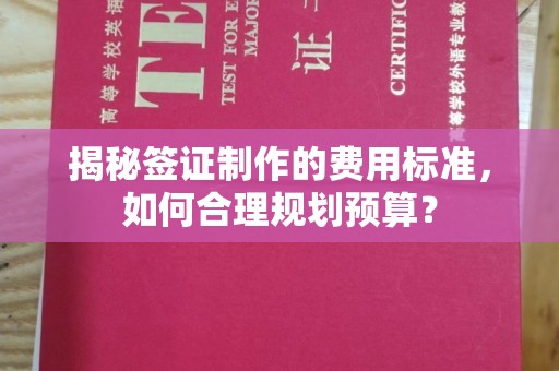 徐州揭秘签证制作的费用标准，如何合理规划预算？