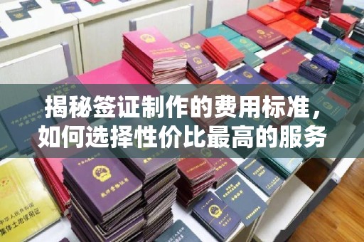 徐州揭秘签证制作的费用标准，如何选择性价比最高的服务？