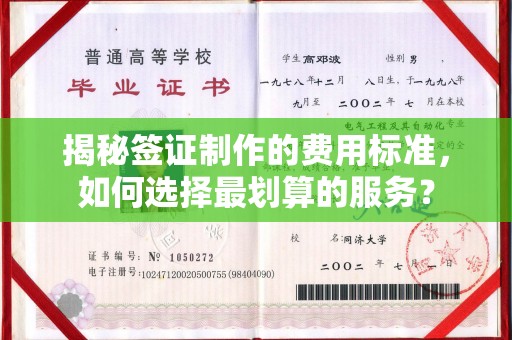 徐州揭秘签证制作的费用标准，如何选择最划算的服务？