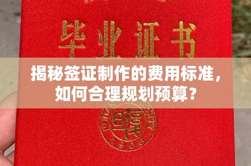 徐州揭秘签证制作的费用标准，如何合理规划预算？