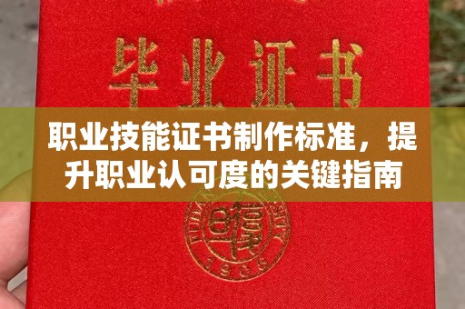 徐州职业技能证书制作标准，提升职业认可度的关键指南